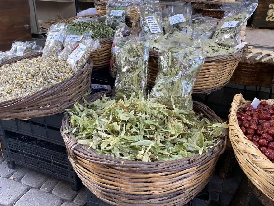 'YAPRAKLARI YEŞİL OLMALI' 3 'YAPRAKLARI YEŞİL OLMALI' 3