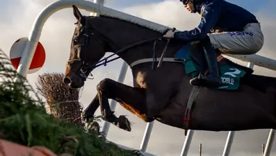 İrlandalı jokey, yarış sırasında düşerek hayatını kaybetti