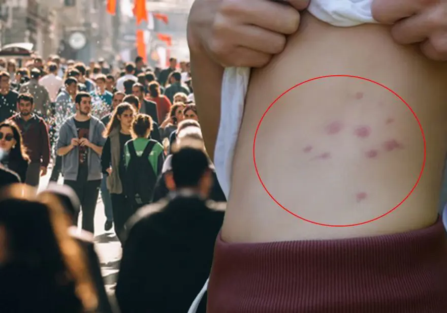 İstanbul'da yaygınlaşan tehlike! Balkon ve bahçelerde su bırakmayın 