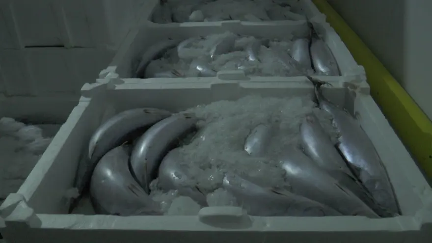 Denizi olmayan ilden dünyaya satılıyor! Rusya ve Avrupa da bizden alıyor 2