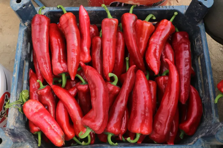 Fiyatı 50 liraydı şimdi 80 TL'den satılıyor: "Yüzde 50 oranında fiyat farkı var" 1