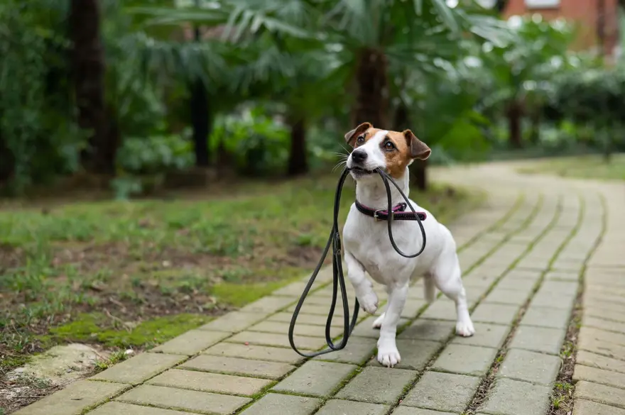 "VOLKANİK PATLAMALARDA GÖRDÜK" 2 "VOLKANİK PATLAMALARDA GÖRDÜK" 2