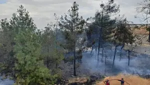 Fabrikanın ağaçlık alanında çıkan yangın korkuttu