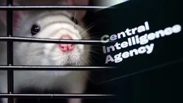 CIA'in en gizli deneyi: "Hayvan suikastçılar ordusu"