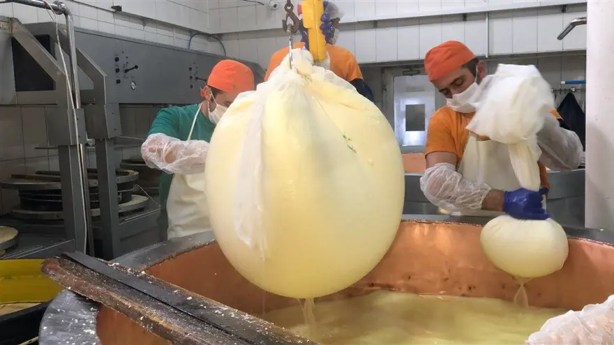 Kars'ta dünyaca ünlü gravyer peynirinin üretimine başlandı 16