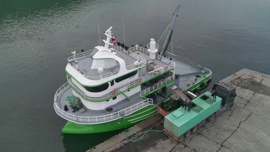 Tonlarca avladılar: Kasa kasa kamyonlara yüklendi 3 Tonlarca avladılar: Kasa kasa kamyonlara yüklendi 3