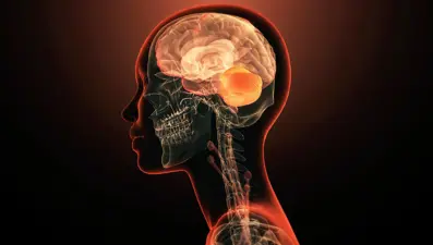 Anılarınız sandığınız kadar güvenilir olmayabilir. Beynimiz geçmişi sürekli "yeniden yazıyor"