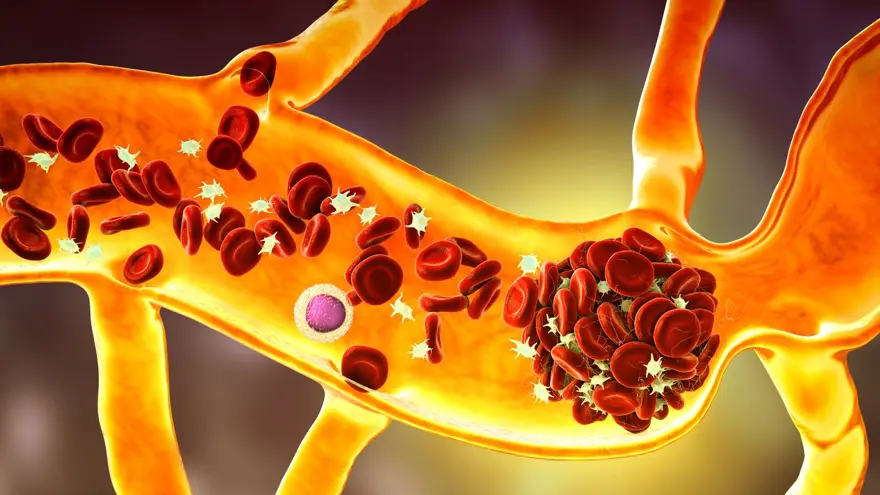 TEHLİKE OMİVRON DÖNEMİ İÇİN DE GEÇERLİ 8