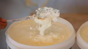 Maraş halkının geçim kaynağı oldu