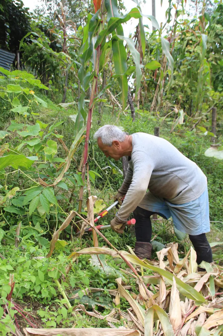 Atandığı ülkeye gidemeyen büyükelçi, kendini bahçe işlerine verdi 5 Atandığı ülkeye gidemeyen büyükelçi, kendini bahçe işlerine verdi 5