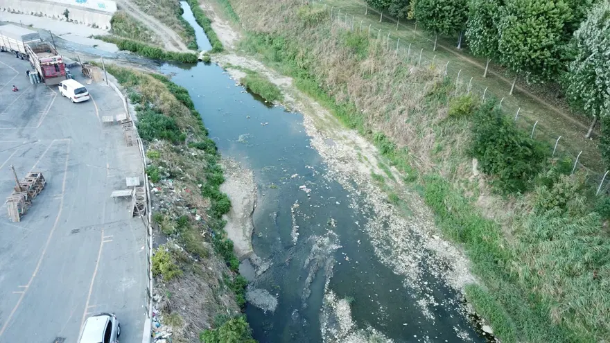 Alibeyköy Deresi'nde balık ölümleri 