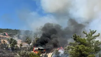 İzmir'de tarım arazisinde yangın: Alevler ormanlık alana sıçradı