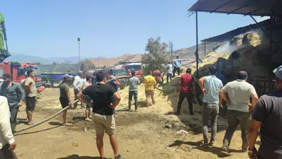 İzmir'de çiftlik yangını: 16 büyükbaş hayvan öldü