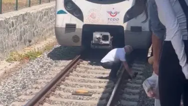 Raylardaki kediyi fark etti, Marmaray'ı durdurdu: Makinistten alkışlanan hareket