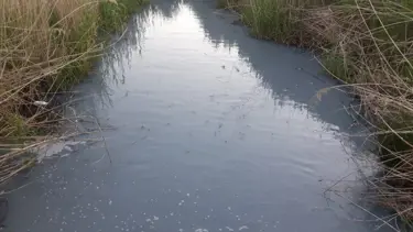 Mavi akmaya başlayan dereye kimyasal atık döküldüğü iddia edildi