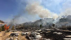Muğla, Bingöl ve Adana'da orman yangını
