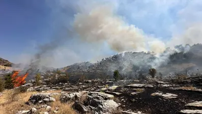 Muğla, Bingöl ve Adana'da orman yangını