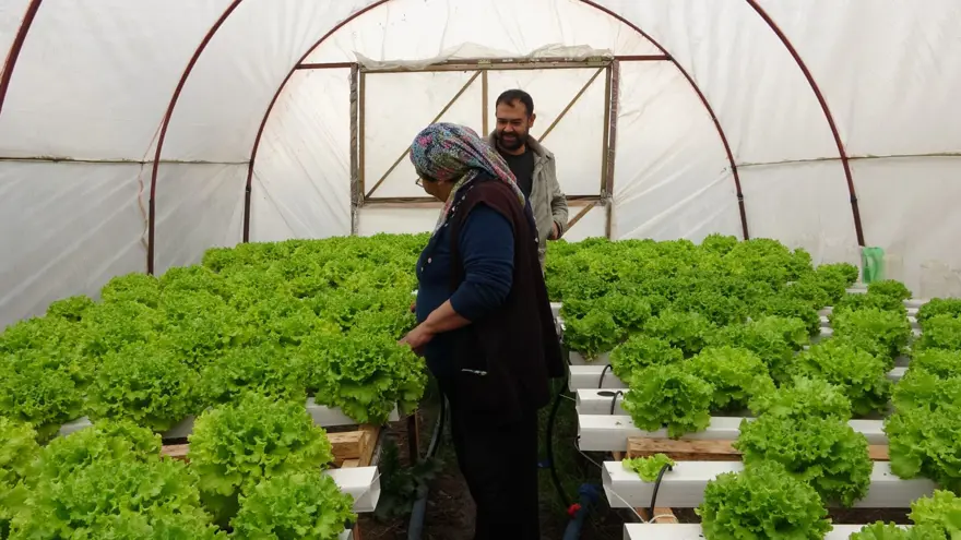 İstanbul'un kalabalığından kaçtı memleketinde topraksız tarıma başladı 3