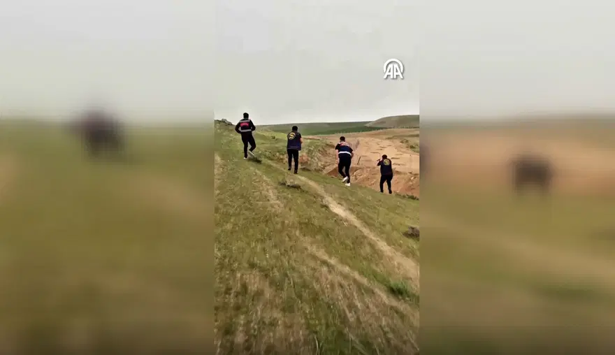 20 ilde aranıyordu, 55 suç kaydı var! Dağdaki çoban 223 yılla aranan zanlı çıktı 1