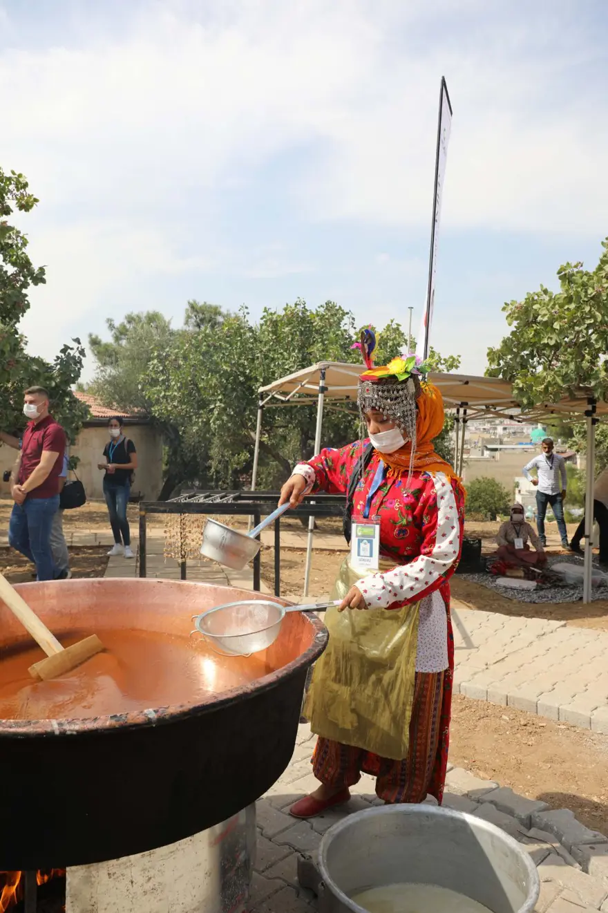 GastroAntep Festivali, fıstık hasadı ve şire yapımı ile başladı 16