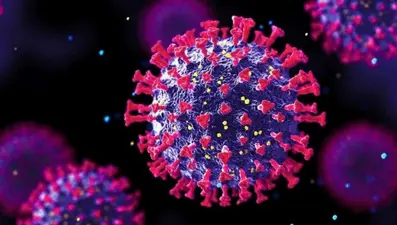 DSÖ sözcüsü Dr. Harris NTV'de