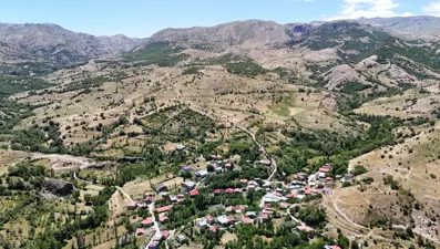 Bozkırın ortasında vahayı andırıyor: Yeşilliği ile dikkat çekiyor