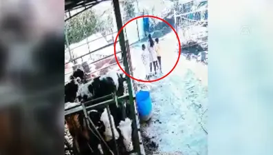 Demir bahçe kapısının çocukların üzerine düşme anı