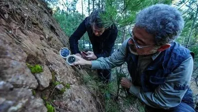 Ölü faylar canlandı: Sındırgı için yeni uyarı geldi... Bir büyük deprem daha bekleniyor