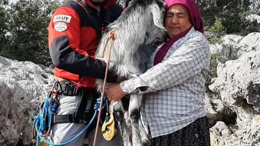 Mersin'de uçurumda mahsur kalan keçiler kurtarıldı
