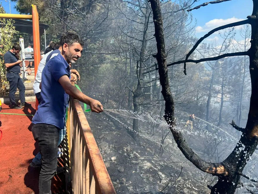 İstanbul Maltepe'de orman yangını 7