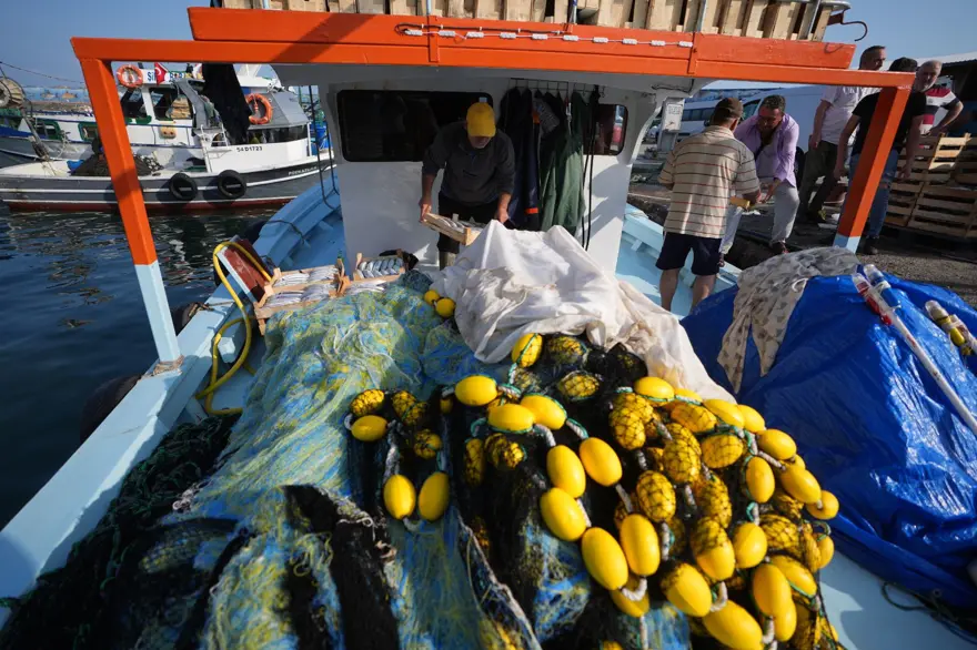 Balıkçıların tezgahları palamut ile doldu 4