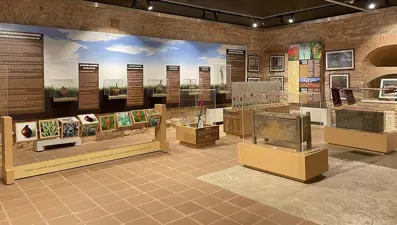 Lalenin Çini ile Dansı sergisi Lale Müzesi'nde 1 Nisan'da açılacak