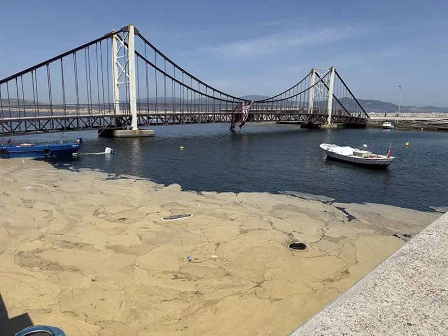 Saros Körfezi müsilaj içinde 