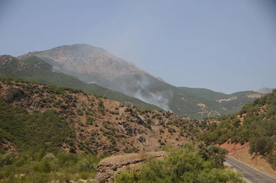 Tunceli'deki orman yangınları sürüyor 5