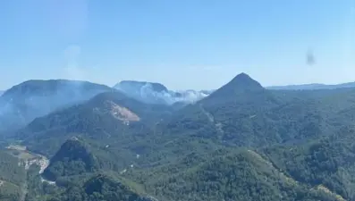 Marmaris'te orman yangını