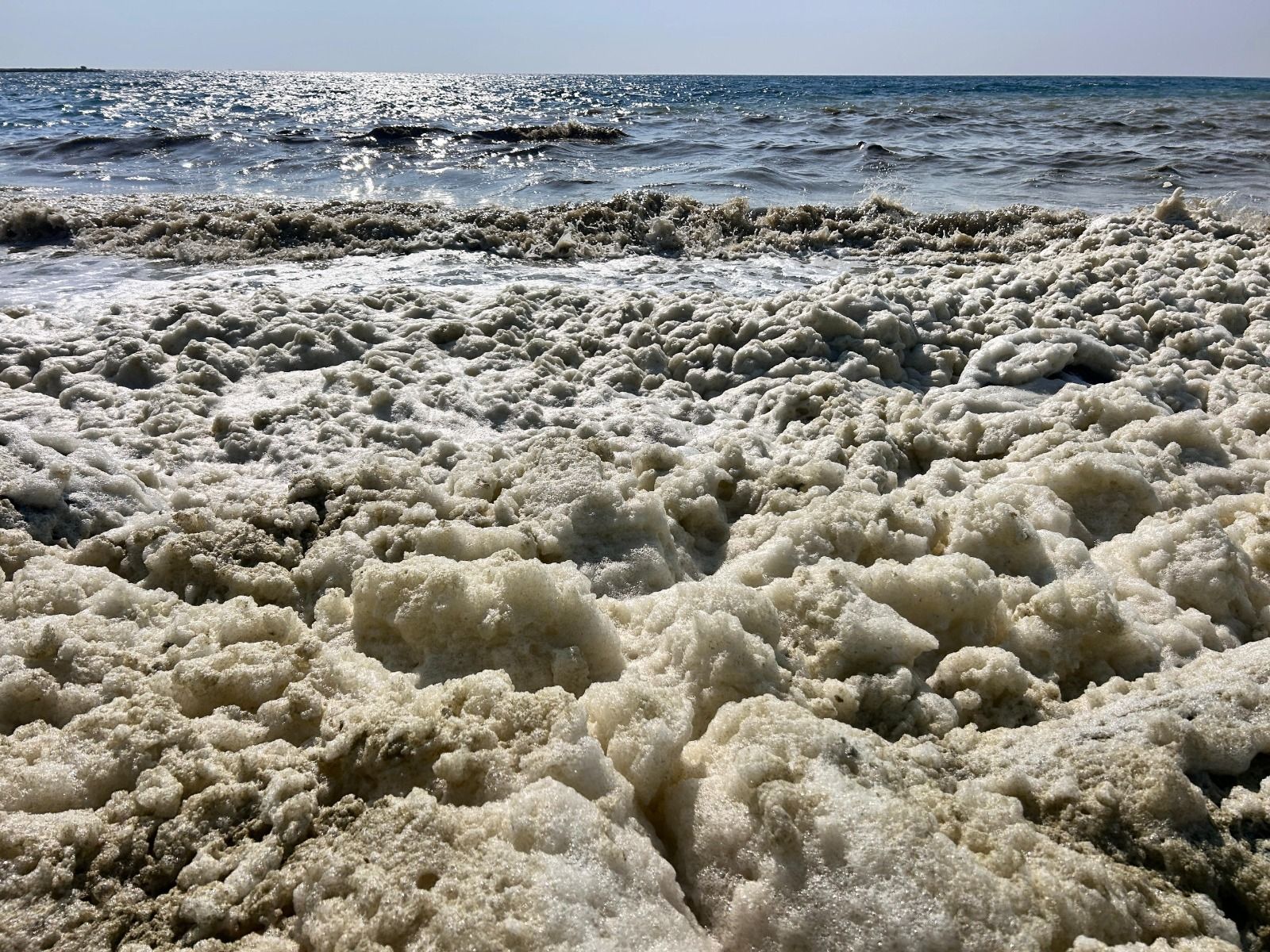 İskenderun Körfezi'nde endişelendiren görüntü: "Müsilajla karıştırılmamalı"