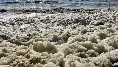 İskenderun Körfezi'nde endişelendiren görüntü: "Müsilajla karıştırılmamalı"