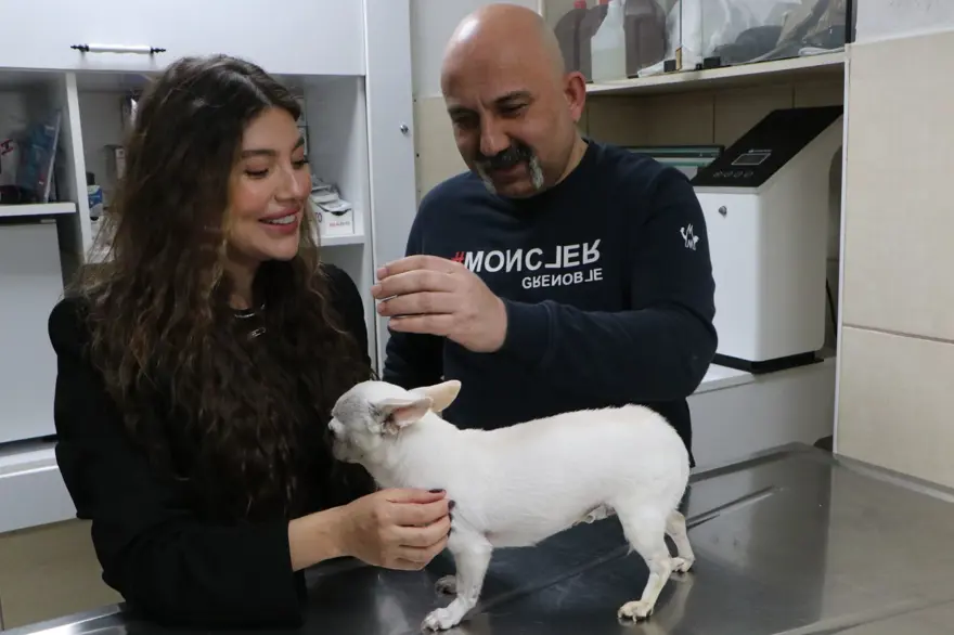 Gece horlamasıyla sahibini uyutmayan "Mini" 2