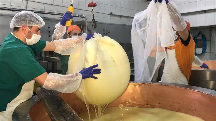 Kars'ta dünyaca ünlü gravyer peynirinin üretimine başlandı 14