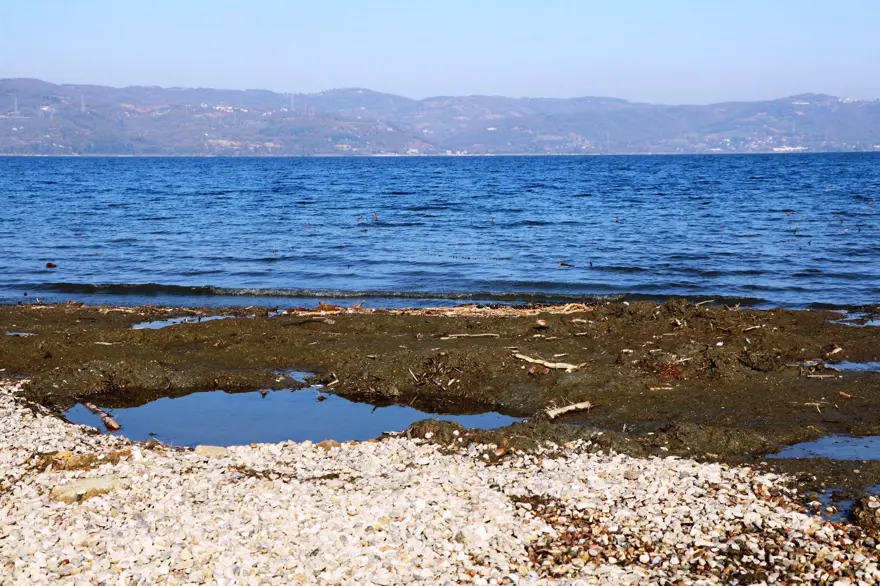 Sapanca Gölü'nde su seviyesi kritik noktaya doğru düşüyor 12