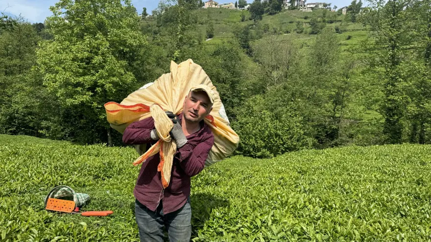 Trabzon Uluağaç Mahallesi'nde kadınlar 26 yıldır yük taşımıyor 11