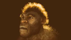Neandertaller nasıl yok oldu? Kan grupları etkili olmuş olabilir mi?