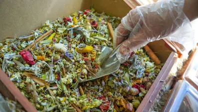 Kilosu 500 liradan tezgahlarda alıcı buluyor: Hasta olmak istemeyenler oraya koşuyor