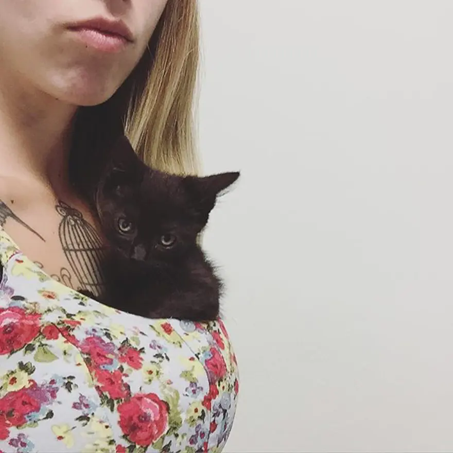 Hayatını kedileri kurtarmaya adadı 308