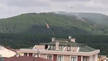 İstanbul Aydos Ormanı'nda yangın