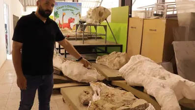 Kayseri’de bu yılki fosil kazılarında 7,7 milyon yıllık 3 fil kafatası bulundu