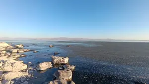 Van Gölü kıyısında oluştu: "Tek bir damla kirli su dahi çok fazla"