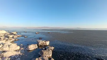 Van Gölü kıyısında oluştu: "Tek bir damla kirli su dahi çok fazla"