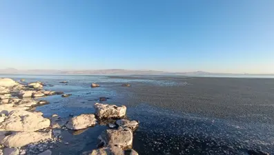 Van Gölü kıyısında oluştu: "Tek bir damla kirli su dahi çok fazla"