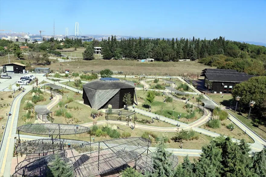 "Kuş Oteli" Hersek Lagünü, göçmen kuşlarla şenlendi: 350'den fazla flamingo geldi 7